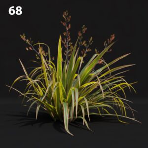 Realistic Green Plant Proxy Model for SketchUp with V-Ray
