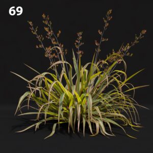 Photorealistic Plant Proxy Model for SketchUp with V-Ray