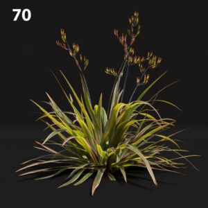 Realistic Tri-Color Plant Model for SketchUp with V-Ray