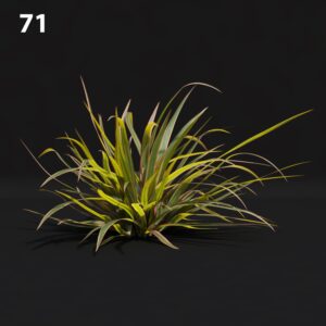 Realistic Plant Proxy Model for SketchUp with V-Ray