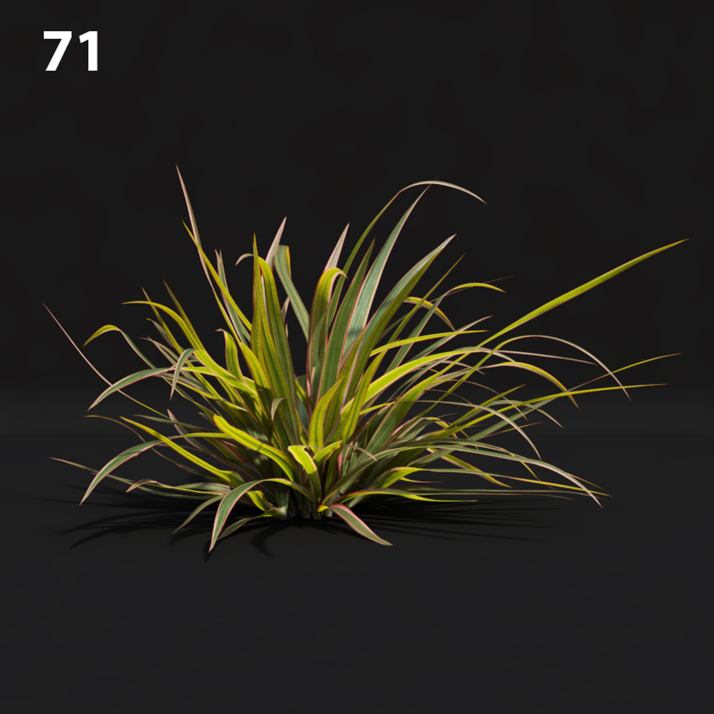 Realistic Plant Proxy Model for SketchUp with V-Ray