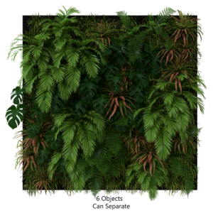 Collection of 72 Plants