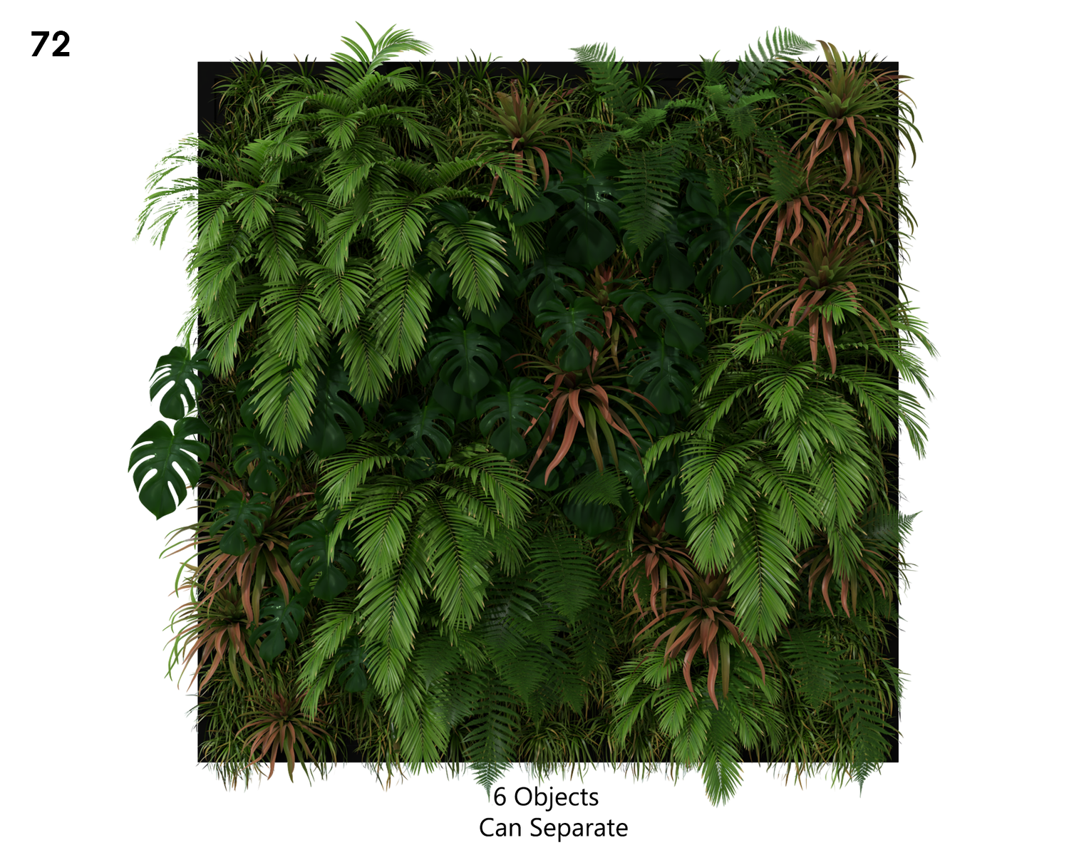 Collection of 72 Plants