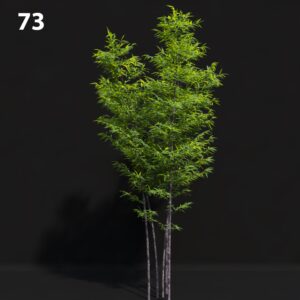 Realistic Bamboo Tree Proxy Model for SketchUp with V-Ray