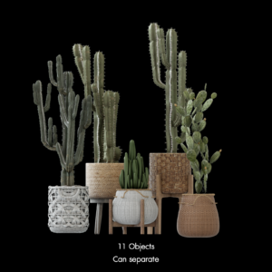 Collection of Plants