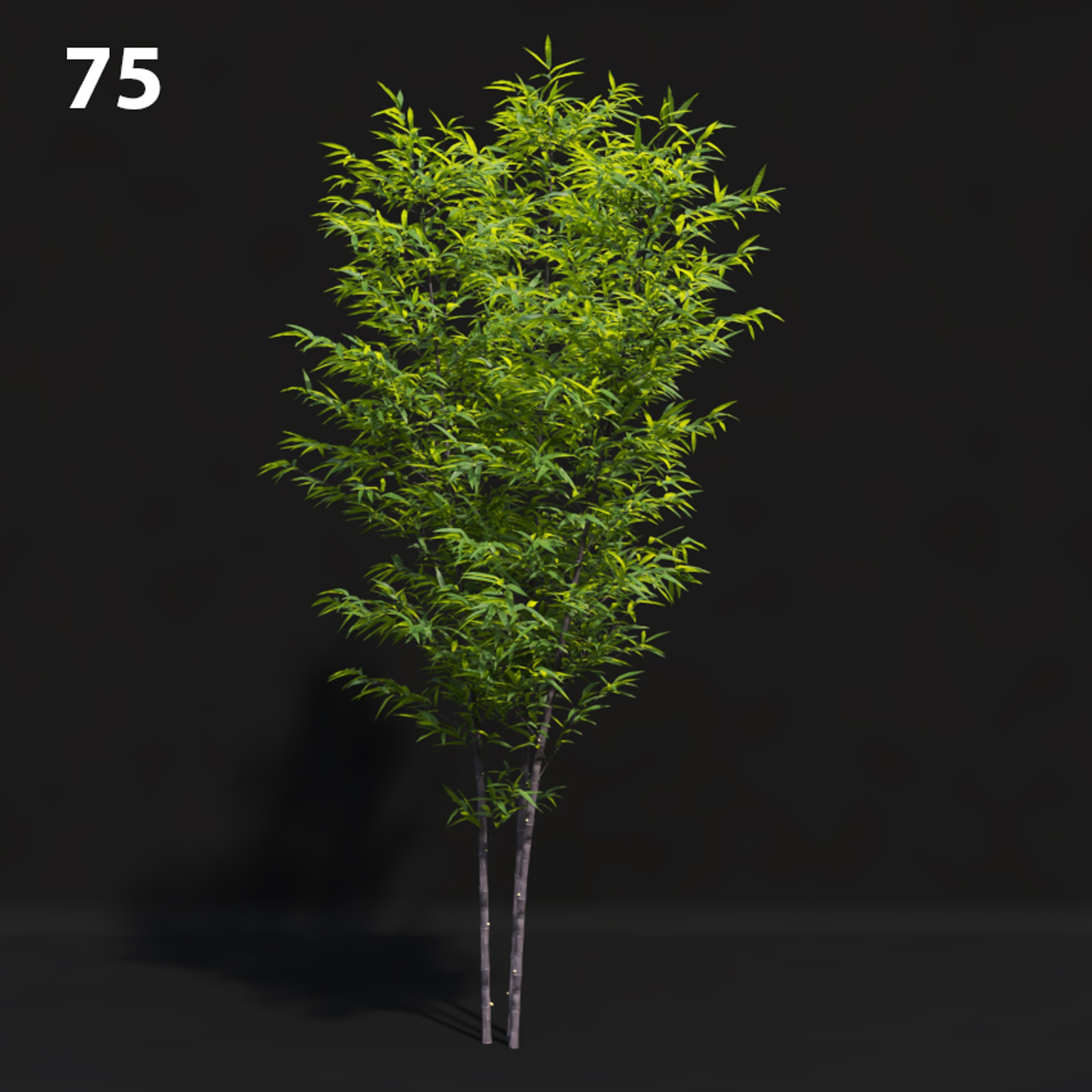 Lush Green Tree Proxy Model for SketchUp with V-Ray