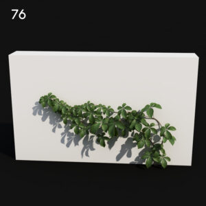 Tetras Greenery Proxy Model for SketchUp