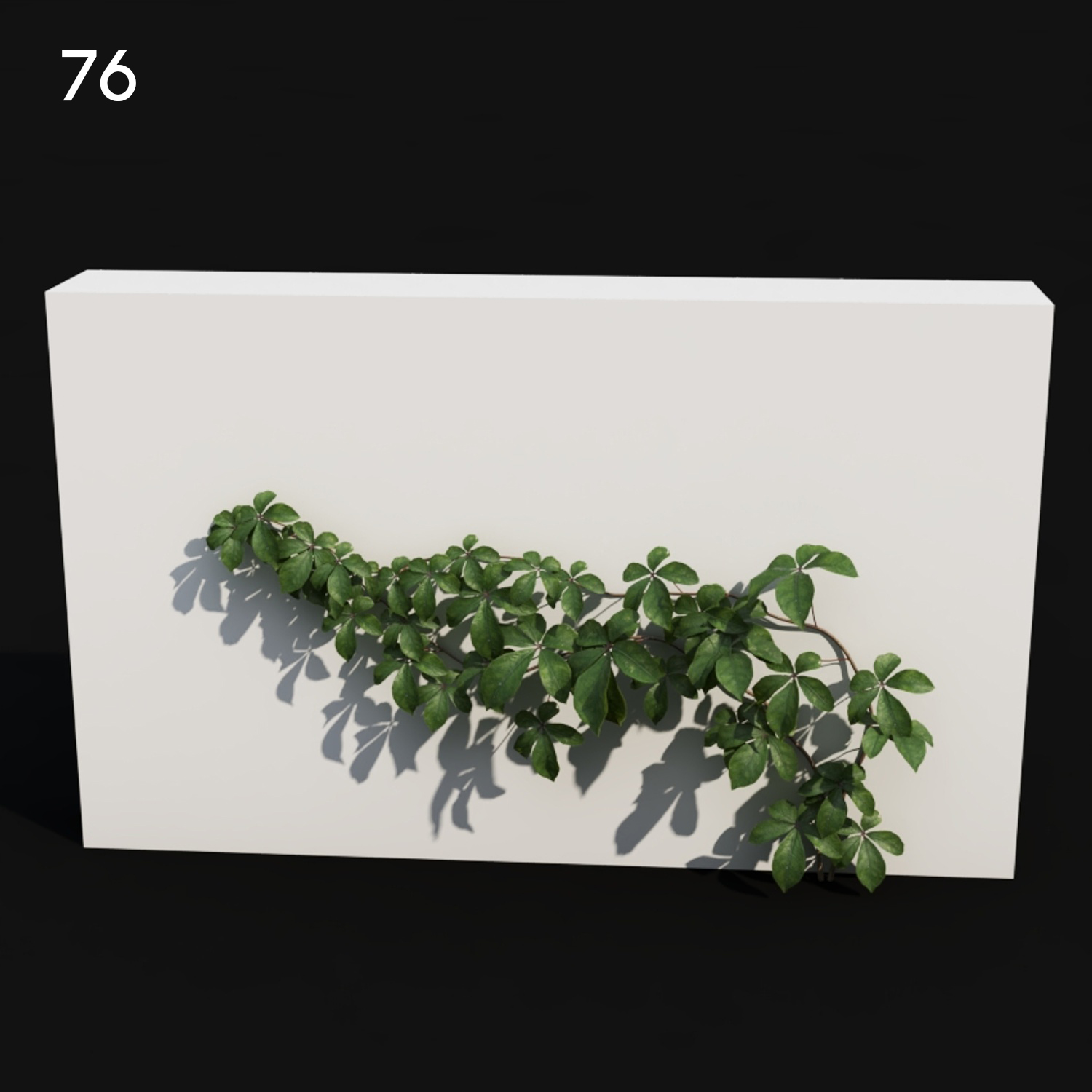 Tetras Greenery Proxy Model for SketchUp