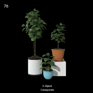 Rubber Plants Proxy Model