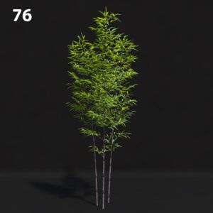 Bamboo Tree Proxy Model