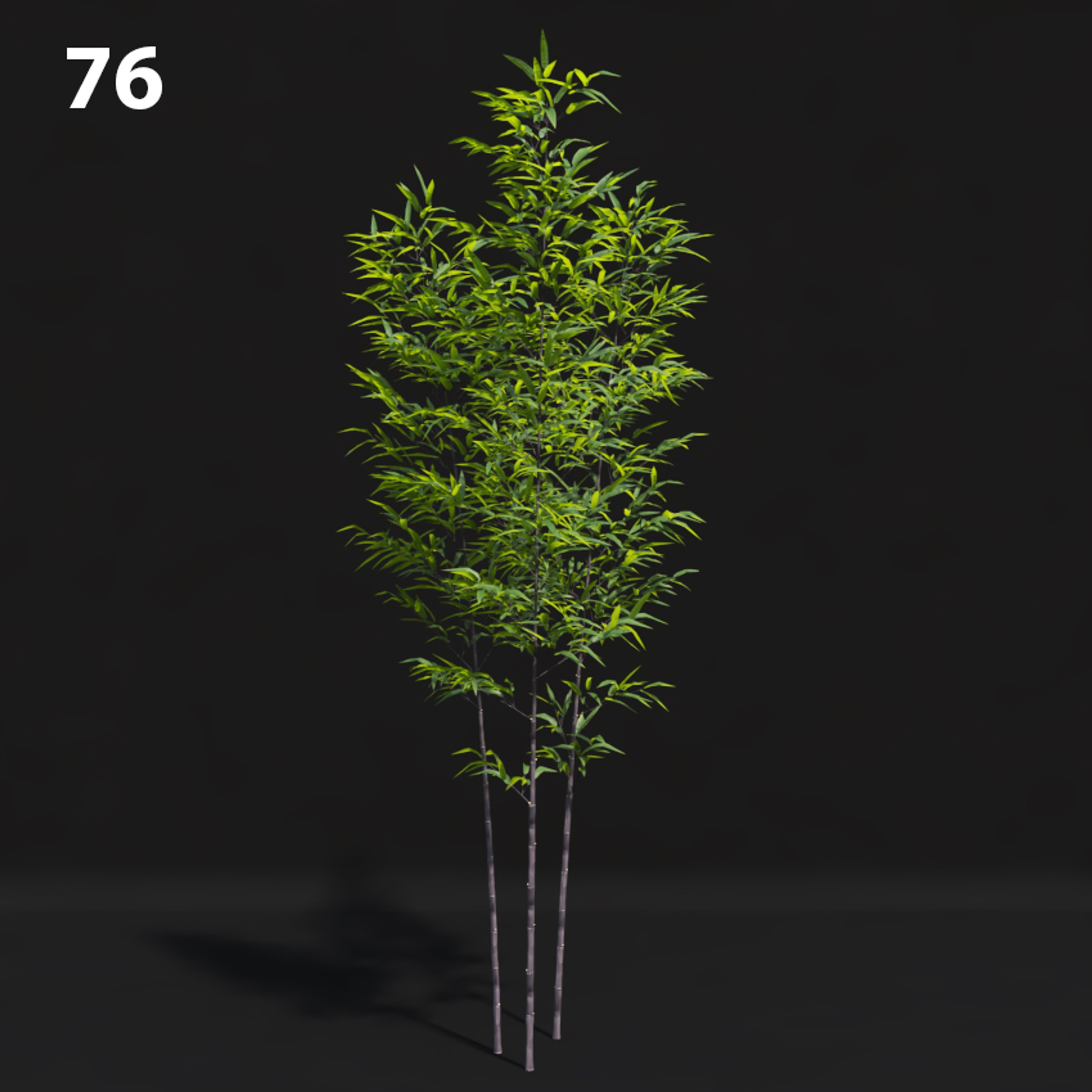 Bamboo Tree Proxy Model