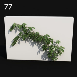 Tetras Model for SketchUp with V-Ray