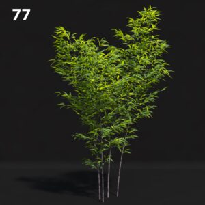 Realistic Greenery Proxy Model for SketchUp with V-Ray