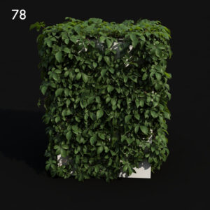 Tetras Proxy Model for SketchUp