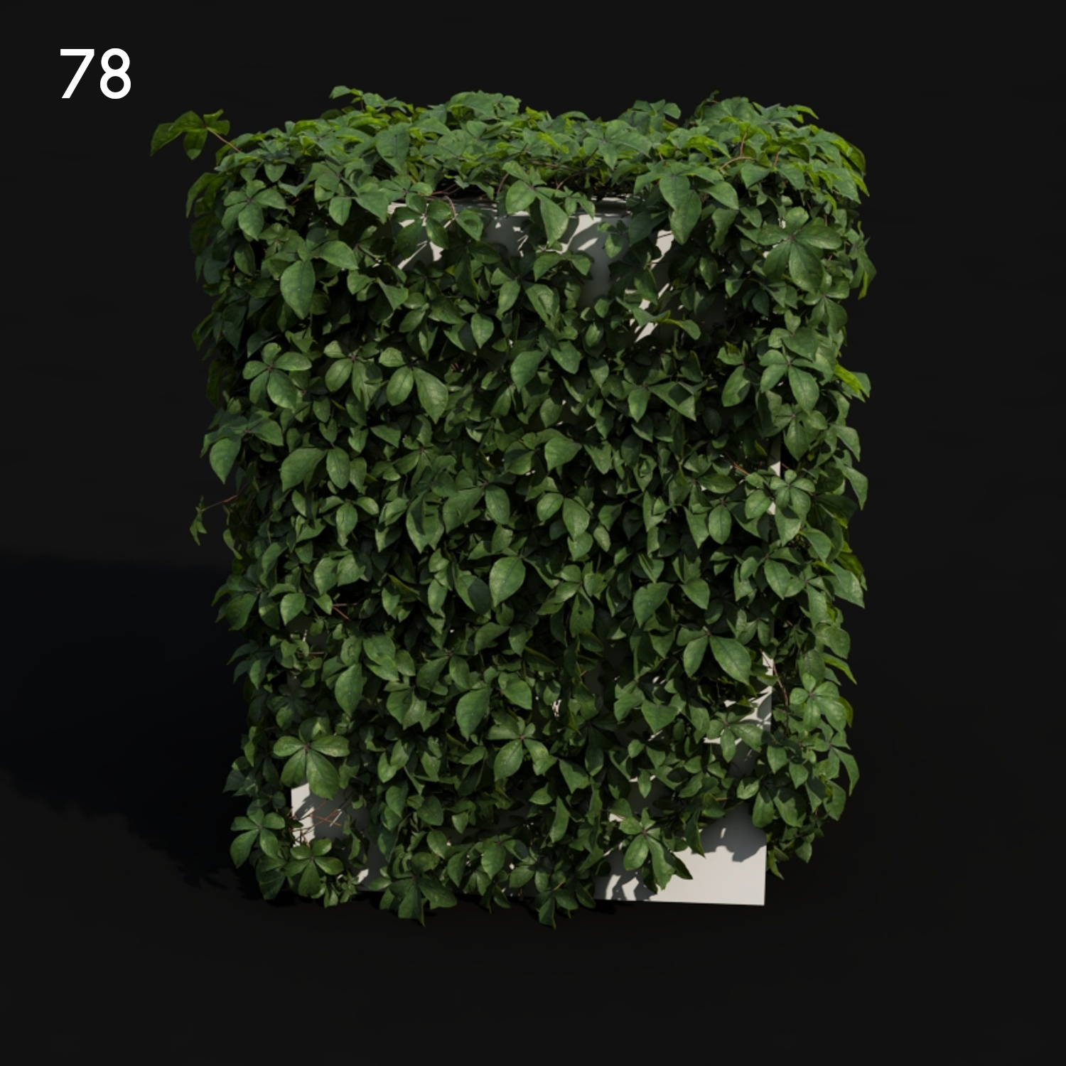 Tetras Proxy Model for SketchUp