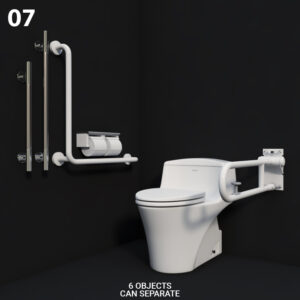 Accessible Toilet Model