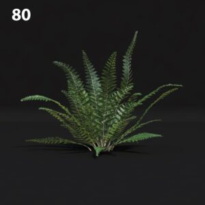 Realistic Fern Proxy Model for SketchUp with V-Ray