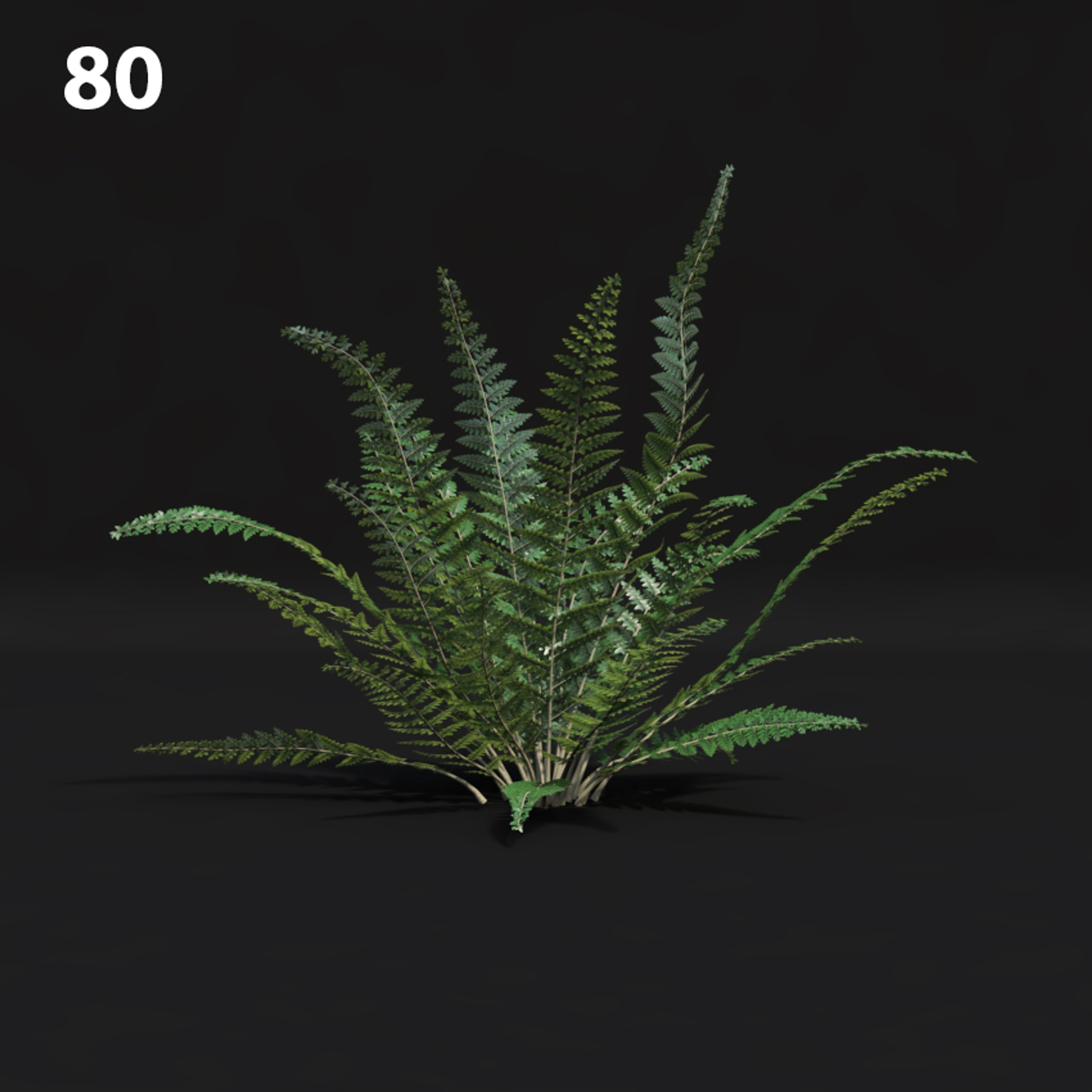 Realistic Fern Proxy Model for SketchUp with V-Ray