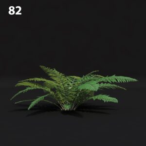 Green Fern Proxy Model for SketchUp with V-Ray
