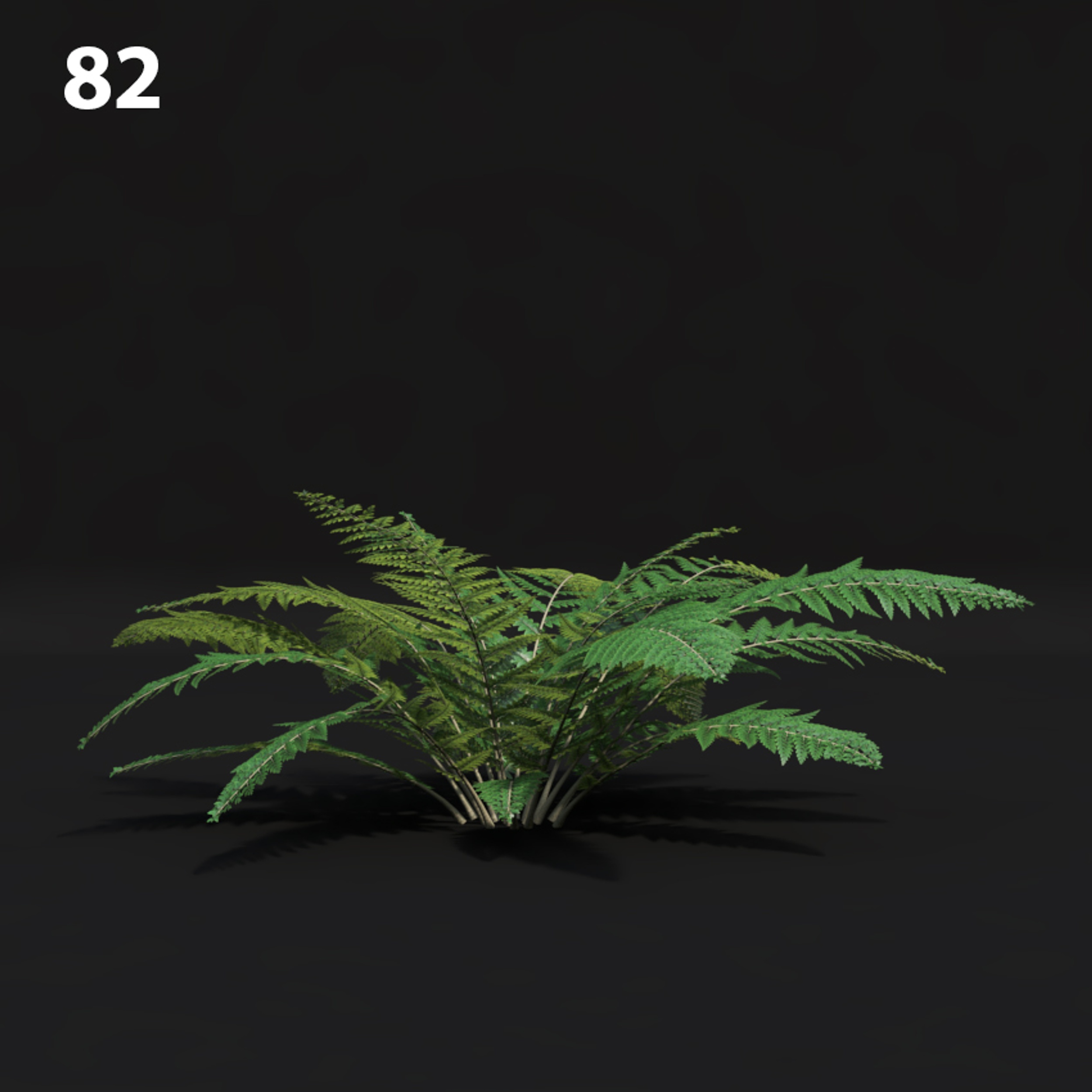 Green Fern Proxy Model for SketchUp with V-Ray