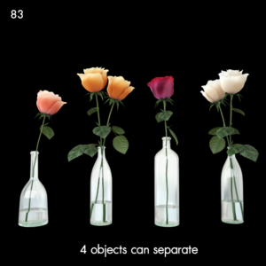 Elegant Rose Vase Collection
