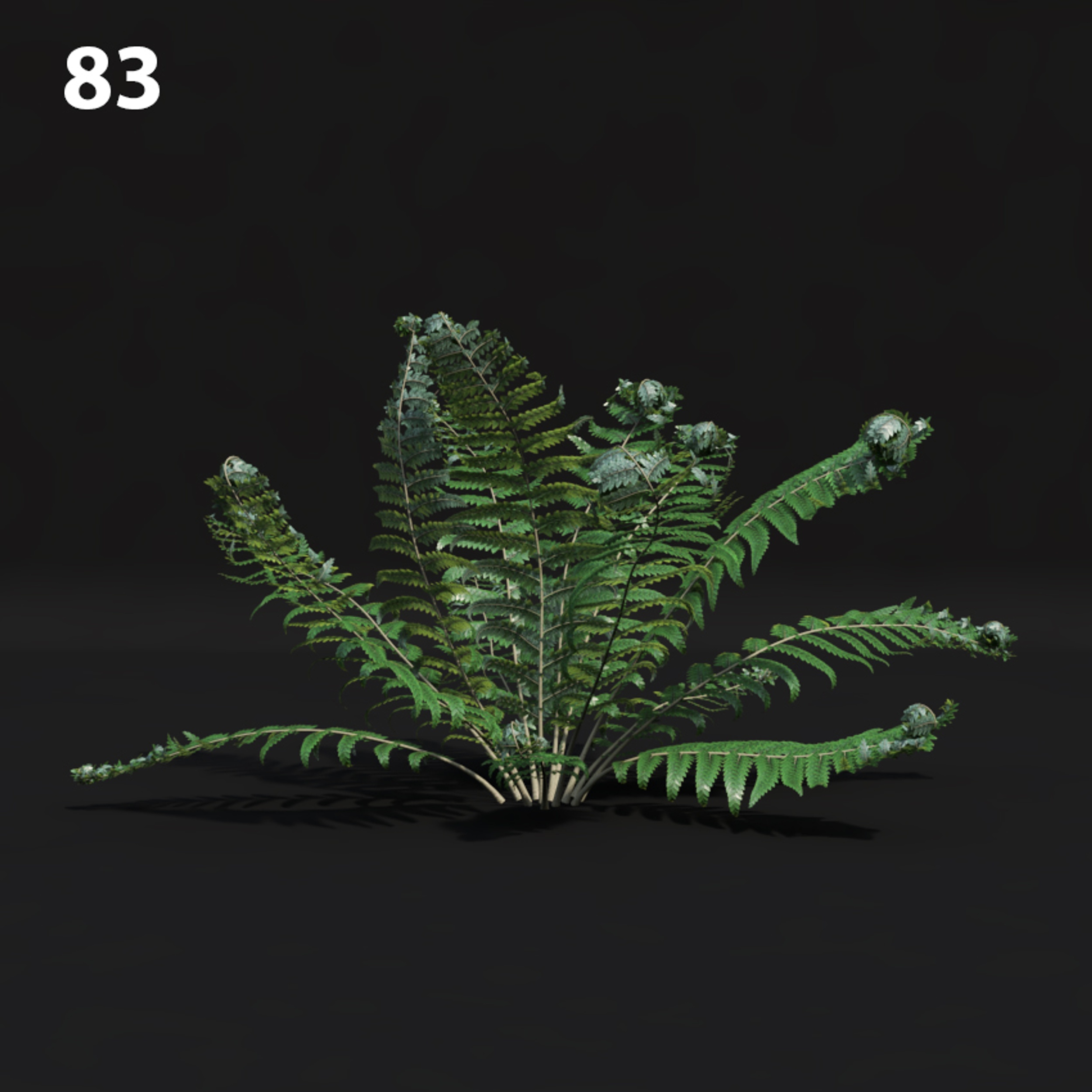 Realistic Fern Proxy Model for SketchUp with V-Ray