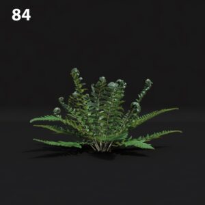 Fern Proxy Model for SketchUp with V-Ray
