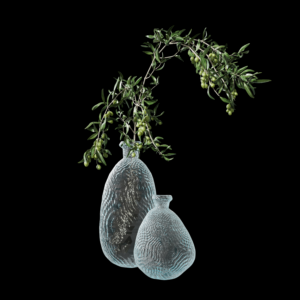 Olive Branch in Glass Vase