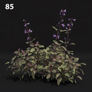 Premium Floral Proxy Model for SketchUp with V-Ray