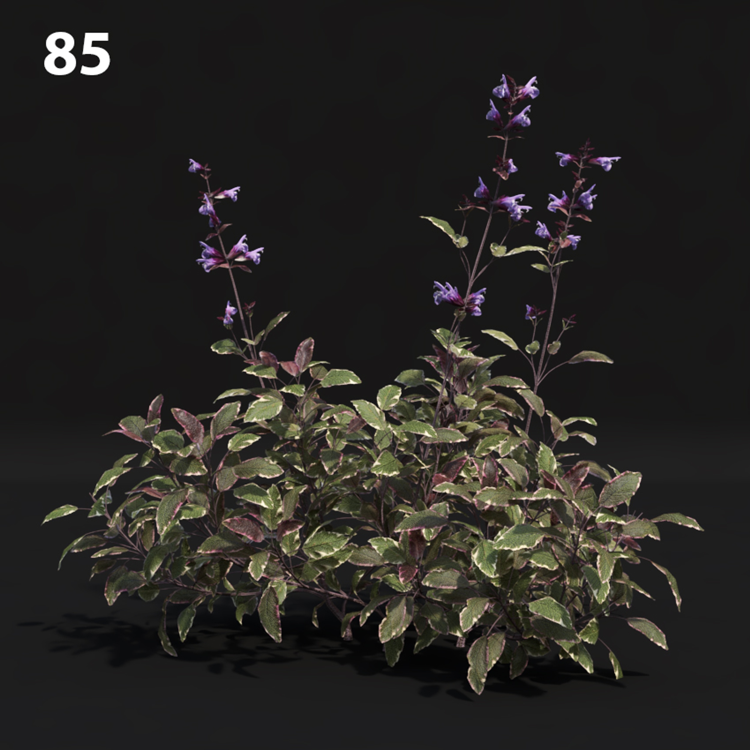 Premium Floral Proxy Model for SketchUp with V-Ray