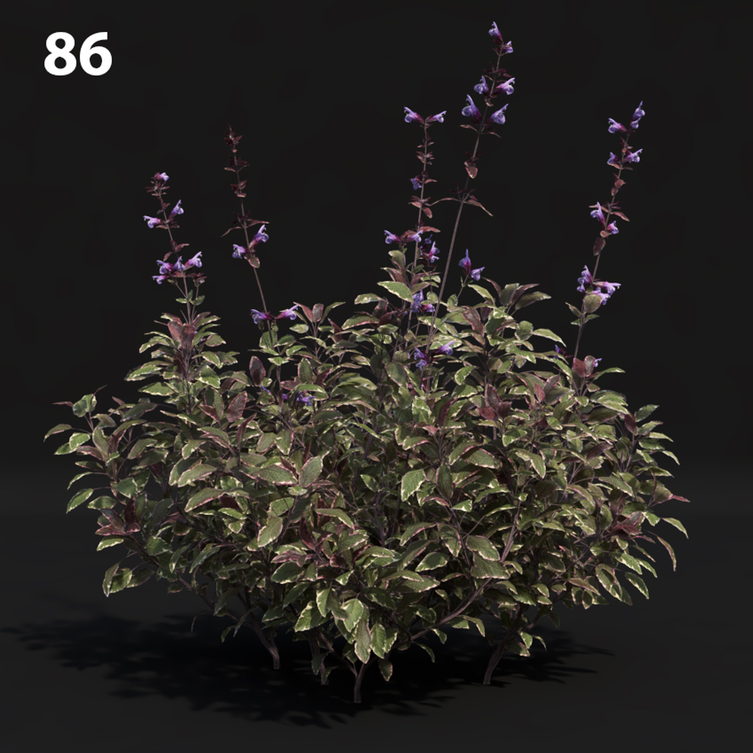 Realistic Floral Proxy Model for SketchUp with V-Ray