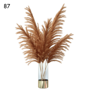 Pampas Grass in Glass Vase