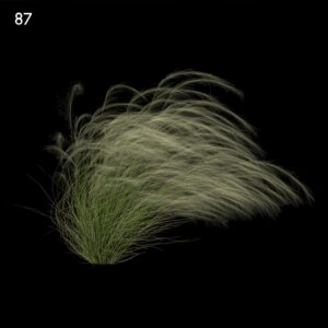 Fountain Grass Proxy Model