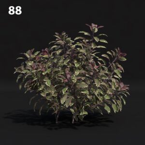 Premium SketchUp V-Ray Proxy Plant Model