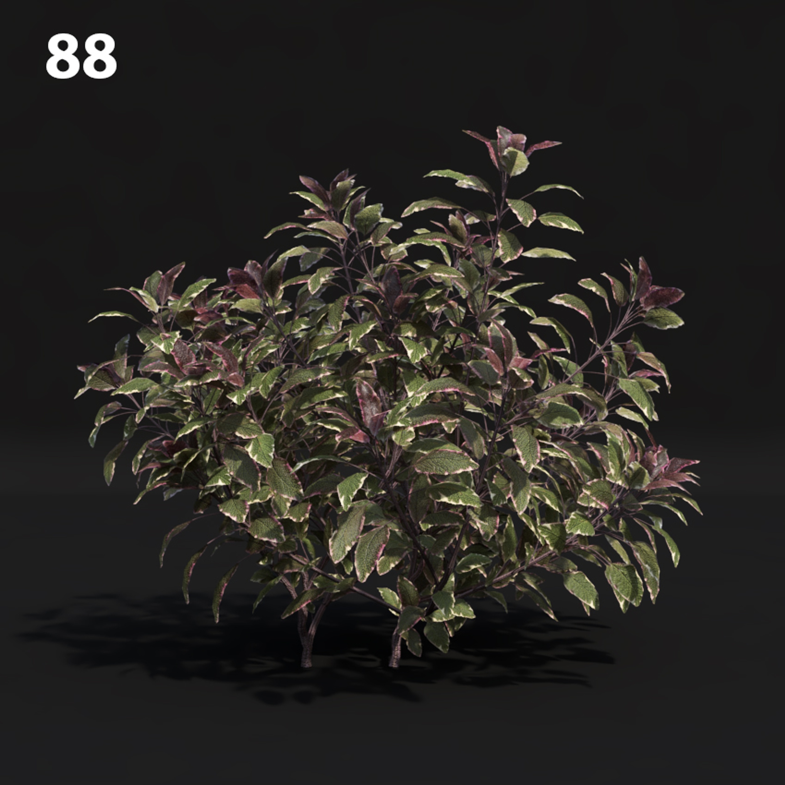 Premium SketchUp V-Ray Proxy Plant Model