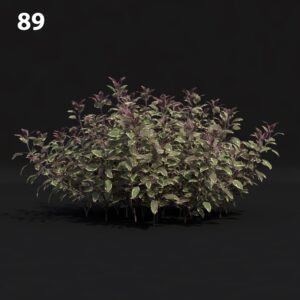 Triangular Decorative Bush Proxy Model