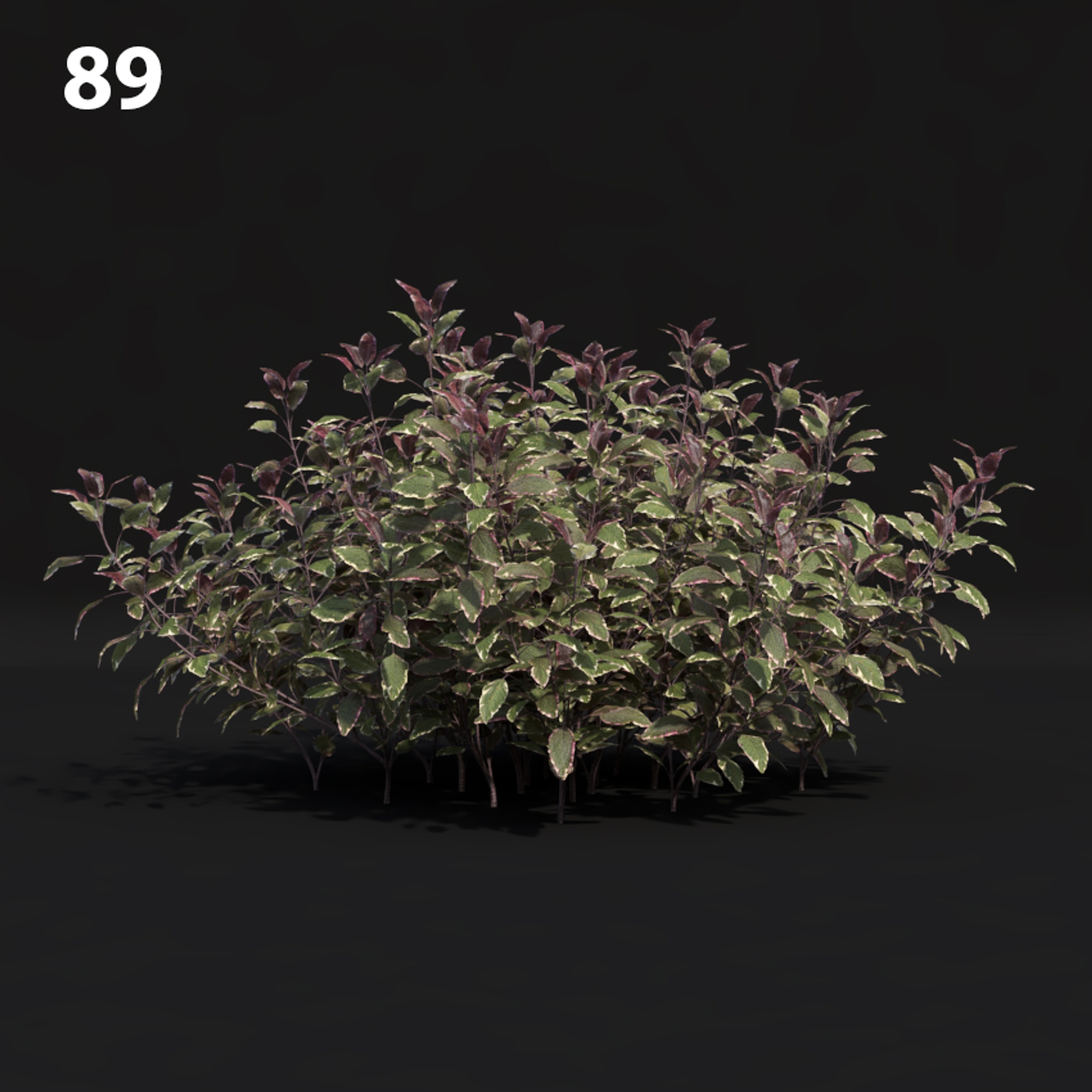 Triangular Decorative Bush Proxy Model