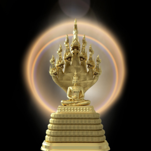 Naga Buddha Proxy Model