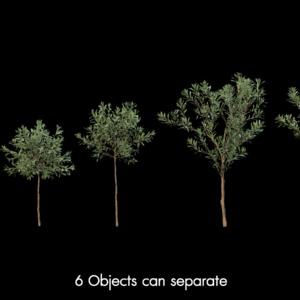 Olive Tree V-Ray Proxy Model