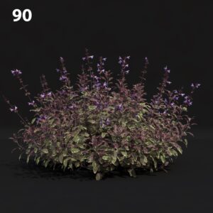 Flowering Shrub Proxy Model for SketchUp with V-Ray