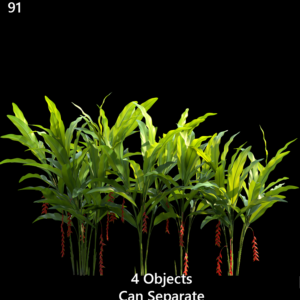 Heliconia Rostrata Proxy Model