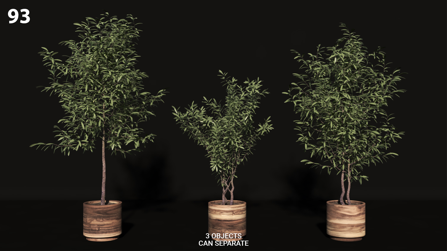 Olive Tree Wooden Pots