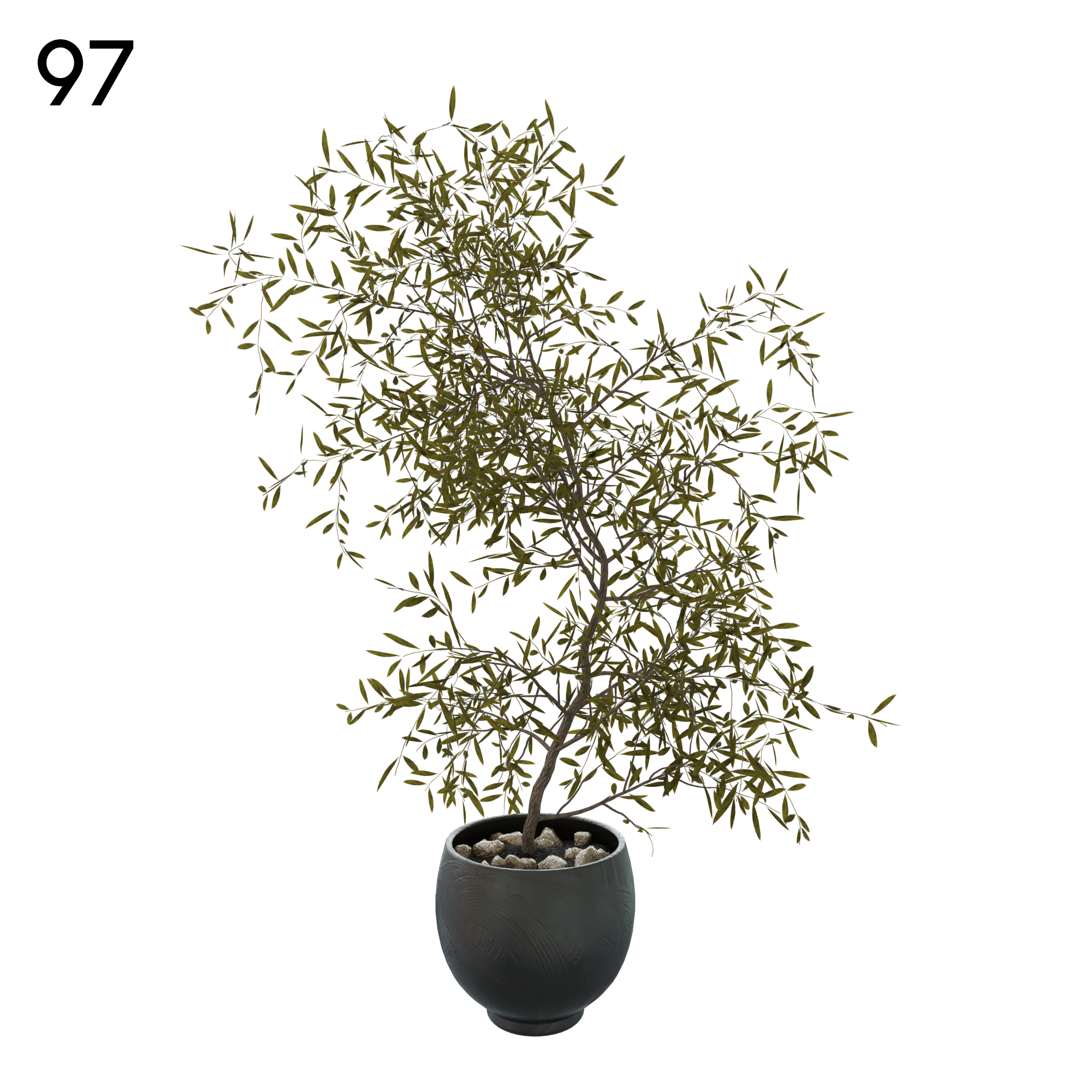 Olive Tree Proxy Model for SketchUp with V-Ray