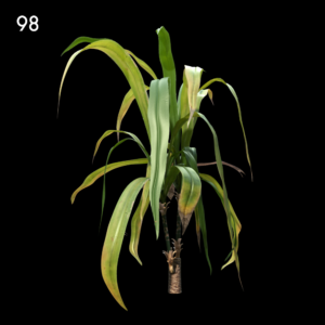 Realistic Plant Proxy Model for SketchUp