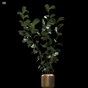 Premium Indoor Plant Proxy Model for SketchUp