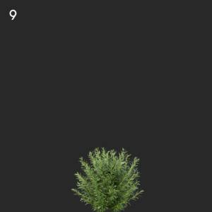 asset-3d-thumbnail