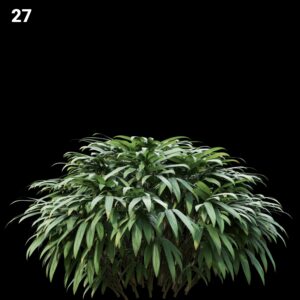 Lush Green Plant Proxy Model for SketchUp