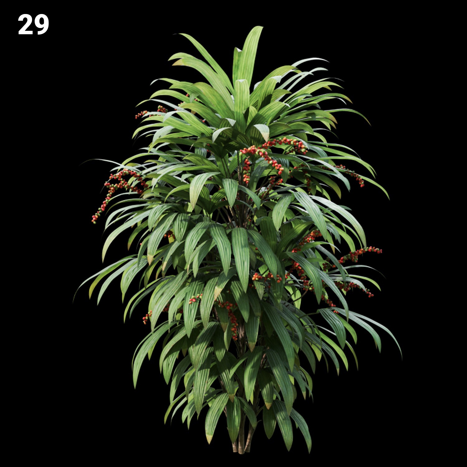 Lush Tropical Plant Proxy Model