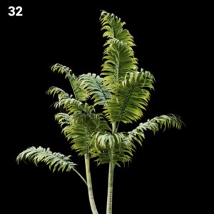 Realistic Fern Proxy Model for SketchUp