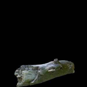 Timber Log Proxy Model